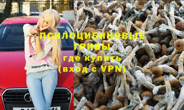 молекула духа Алзамай