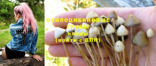 шишки Алексин