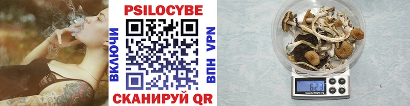 Псилоцибиновые грибы Cubensis  даркнет сайт  Ветлуга 